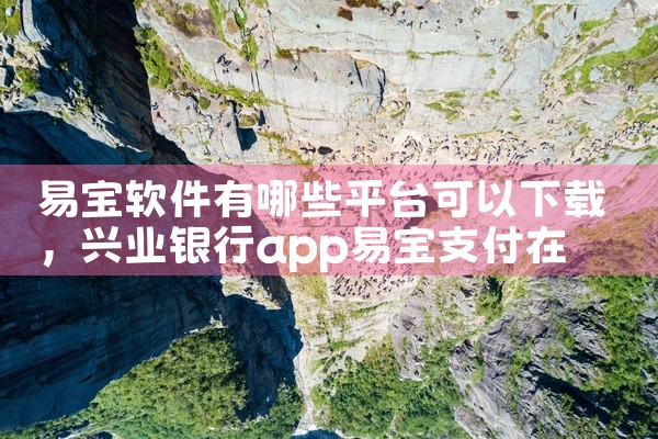 易宝软件有哪些平台可以下载
