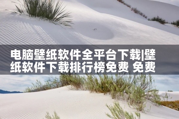 电脑壁纸软件全平台下载