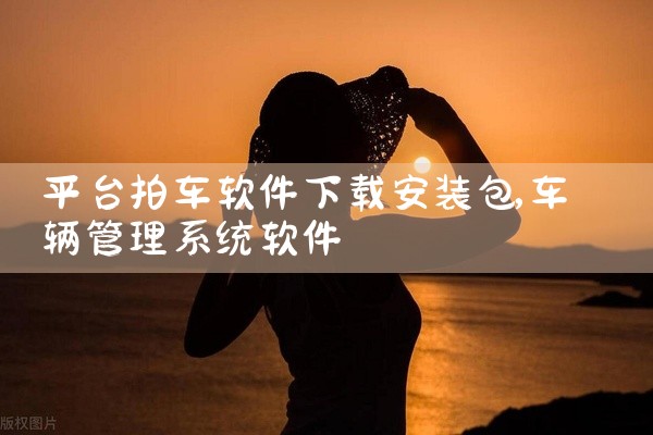 平台拍车软件下载安装包
