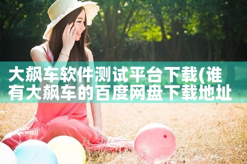 大飙车软件测试平台下载