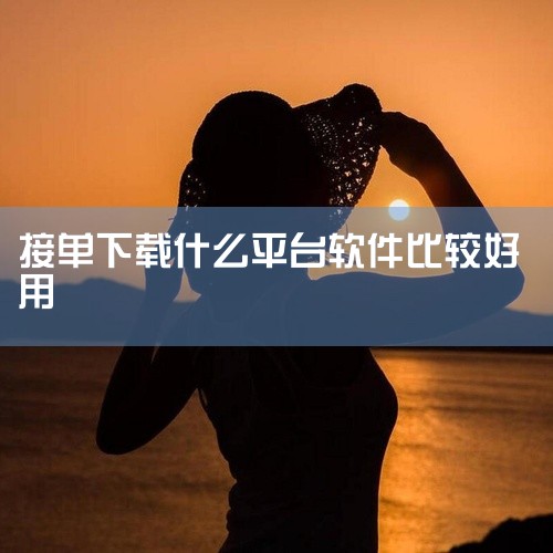 推荐猪八戒网、程序员客栈、码市这三大平台  猪八戒网成立早、任务类型全，覆盖设计、文案、营销等泛IT类需求，适合新手接单，但需注意部分低价单竞争激烈，平台抽佣约20%。据其官网披露，累计注册用户超30|
