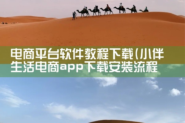 电商平台软件教程下载
