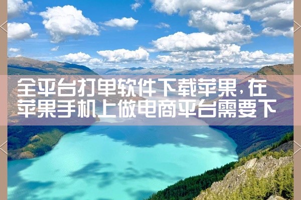 全平台打单软件下载苹果