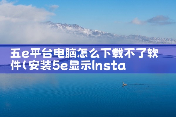 五e平台电脑怎么下载不了软件