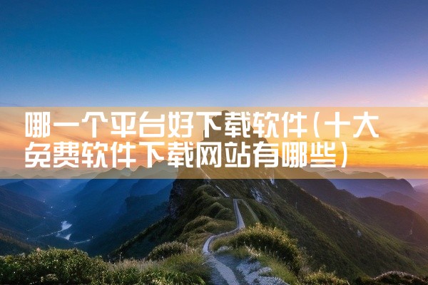 哪一个平台好下载软件