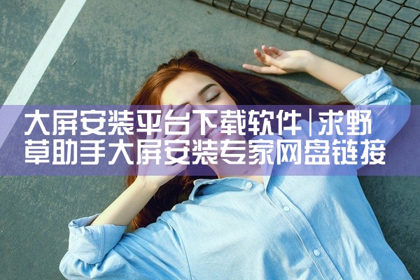 大屏安装平台下载软件