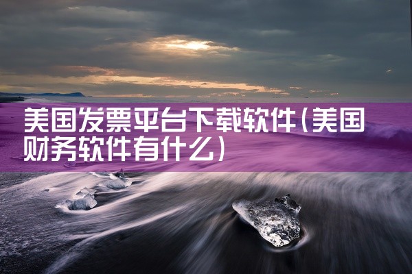 美国发票平台下载软件