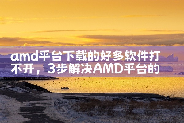 amd平台下载的好多软件打不开