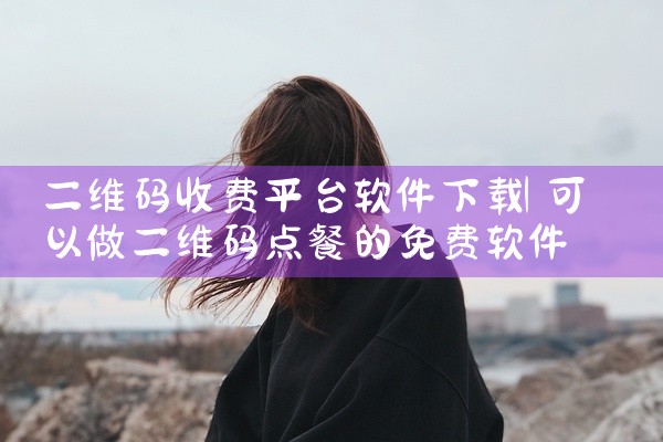 二维码收费平台软件下载