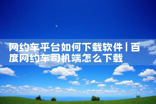 网约车平台如何下载软件