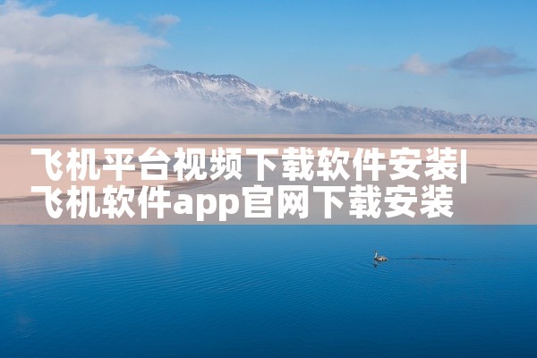 飞机平台视频下载软件安装
