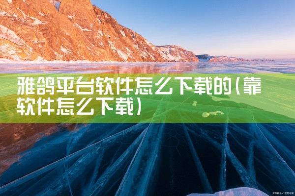 雅鸽平台软件怎么下载的