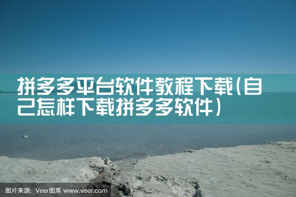 拼多多平台软件教程下载