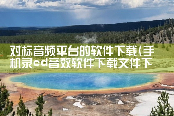 对标音频平台的软件下载