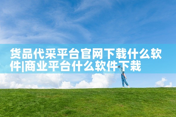 货品代采平台官网下载什么软件